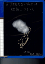 目には見えない病原体　細菌とウイルス